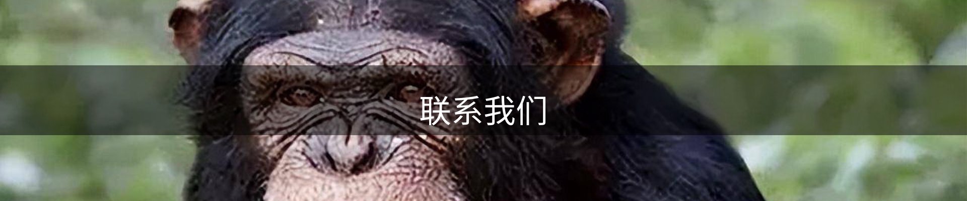 联系我们